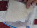 瑞朗克斯 抽真空封口机家用小型塑封机食品真空包装机商用自动封口保鲜机 H9手持真空机蓝【拍1发17】 实拍图