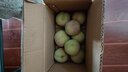 采缇山东青州冬雪蜜桃5斤新鲜水果应当季脆甜桃小冬桃整箱 3斤装 优质果75g左右 实拍图