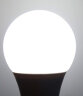 美的（Midea）LED灯泡节能E27大螺口螺纹家用光源 12瓦白光球泡 单只装 实拍图