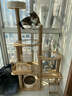 CHONLDERL猫爬架猫窝猫树一体大型太空舱猫架子四季通用剑麻猫咪玩具用品 【156CM 10层双太空舱】全剑麻星喵XM-2 实拍图