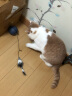 KimPets猫玩具自嗨解闷消耗体力老鼠逗猫棒猫运动电动自动逗猫球猫咪用品 灰色 晒单实拍图