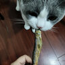 雅礼颂宠物猫咪零食多春鱼淡水满籽小鱼虾冻干幼猫磨牙营养增肥 【满籽款约20~30条】100g 实拍图