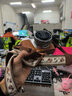 BLKE 适用索尼相机内存卡SD卡闪存卡A7/ZV-E10/ZV-1/A6000 a7m4 m2 m3 A7R4/3 a7s2微单数码相机储存卡 128G 索尼相机专用内存卡【120M/S】 SD卡+ 实拍图