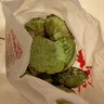 良知农哥【顺丰】现摘莲蓬 莲子莲蓬生吃嫩莲子鲜甜新鲜水果 洪湖甜嫩莲子米3斤  顺丰空运 实拍图