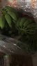梦芷广西小米蕉新鲜香蕉酸甜拇指小香蕉青色发货（小个品种催熟食用） 净重 4.4斤 -5斤装 实拍图