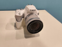 佳能/Canon 100D 200d 200D二代 R50 80D 700D 二手单反相机 200D二代 18-55 IS STM白色套机 99新 实拍图