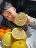 思卓（SIZHUO）黄金葡萄柚 爆汁葡萄柚礼盒 纯甜不酸整箱5斤新鲜水果时令西柚子 实拍图