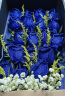 莱一刻礼盒鲜花速递花束表白送女友生日礼物全国同城配送 19朵蓝色妖姬礼盒—不凋零的爱 实拍图
