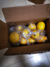 译优农正宗四川安岳黄柠檬新鲜当季水果现摘精选一级皮薄鲜柠檬独立包装 5斤精选小果【约26-32个】彩袋装 实拍图