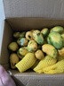 正宗小台农芒果新鲜水果10斤小芒果鲜果整箱应季当季海南热带水果 【老农亲选】商超果特大特甜 小台芒10斤整箱（JD快递） 实拍图
