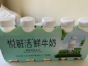 悦鲜活X PLUS会员联名 鲜牛奶  260ml*5瓶 高钙巴氏杀菌乳 生鲜 低温奶 实拍图