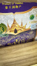 香纳兰 泰国香米 乌汶府进口大米 泰国茉莉香米 5kg 实拍图