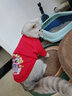 喵先生宠物狗狗衣服小型犬泰迪衣服冬季猫咪狗衣服小狗衣服透气两脚卫衣 红色舞狮款L码建议（7-9斤） 实拍图