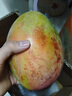 京鲜生 攀枝花凯特芒果 净重4.5斤 单果600g+ 生鲜水果源头直发 实拍图