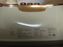 大宇（DAEWOO）【国家补贴】手持挂烫机家用熨烫机蒸汽电熨斗 旅游出差便携式小型除菌烫衣神器HI-036 北欧白 实拍图