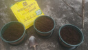 史丹利营养土养花通用型家用多肉兰花专用土土壤种植土花土 晒单实拍图