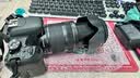 佳能（Canon）EOS600D750D700D760D800D850d学生入门拍照摄像二手单反相机 800D+18-135 IS STM 【套机】 99新 实拍图
