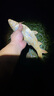达亿瓦（DAIWA）21/23 LEGALIS CS LT 纺车轮金属线杯轻量远投钓鱼轮 左右手互换型 21款 5000-CXH（精巧机身+高高速 实拍图