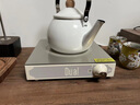 帝而（Dual） 煮茶电陶炉  煮茶器 家用低辐射炒菜炉火锅炉 迷你大功率不挑锅具煮茶炉 【不挑锅具电陶炉】复古白+专用围炉烤架 实拍图