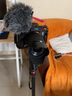 RODE 罗德麦克风 VideoMicro 单反微单相机手机指向性机顶麦克风微电影Vlgo收音话筒 官方标配【相机适用】 实拍图