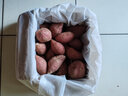 时味季正宗临安天目山小香薯5斤装红皮黄心红薯手指薯新鲜带皮板栗番薯 3斤 【鸡蛋果】 实拍图