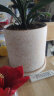 漫生活 北欧花盆3件套(带托盘)口径10.5/13.5/16.5套装陶瓷盆花盆金丝白 实拍图
