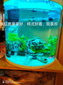 闽江（minjiang）鱼缸水族箱半圆圆柱形生态造景屏风客厅金鱼缸中小型桌面迷你鱼缸 白色+升级过滤+开缸礼包 BY460（单个缸体不含柜子） 实拍图