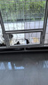 北鼻狗【升级全管加强 】狗笼中型犬大型犬狗笼子宠物狗狗笼子金毛用品 升级置物架加粗加密 白色 125*95*105 建议130斤内 实拍图