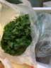 绿食者 新鲜薄荷叶 Mojito调酒茶饮泡水装饰可食用薄荷叶香料蔬菜 250g 实拍图