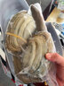 道楼鲜阁 象拔蚌（水蚌）鲜活冷冻海产品贝壳类大象拔蚌多省可选鲜活发货 2只鲜冻发货 1000g(净重)  实拍图