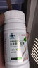 京都安顺堂白术薏仁胶囊搭减肥塑身非抑制食欲草本软强傚效快速瘦腿肚子燃脂 【一盒装】蓝帽产品 | 品质保障 实拍图