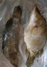 京乐狳桂鱼淡水鳜鱼鳌花鱼现捕鲜活现杀整条季花鱼 一条约1000g(净膛前)现杀现发 2条装 实拍图