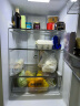 夏普（SHARP）两门冰箱 风冷无霜 节能冰箱 小型家用 大冷冻 彩晶玻璃面板 冰箱 以旧换新 BCD-246WTGE-N 246升 玻璃面板 晒单实拍图