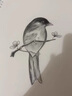 马利牌素描铅笔套装美术生hb2h2b3b4b6b8b10b12b16b14b铅笔素描炭笔特软中硬绘画 【常用12支各2支】 实拍图