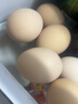 我老家 农家谷物鸡蛋 山林散养初生蛋鲜鸡蛋 15枚装600g 实拍图