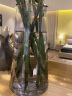 墨斗鱼玻璃透明轻奢描金花瓶水培容器摆件富贵竹百合玫瑰花客厅装饰品 实拍图