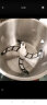 苏泊尔（SUPOR）绞肉机家用辅食机不锈钢防塞肉料理机 家用3L大容量绞馅机搅碎机器JR51S 实拍图