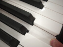 帕茵思88键重锤电钢琴成人家用儿童初学者专业力度数码电子钢琴 重力度88键 典雅黑 晒单实拍图