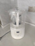 大宇（DAEWOO）破壁机低音豆浆机迷你全自动免手洗搅拌机营养调理机家用FP03 奶糖白 实拍图