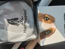 暇步士（Hush Puppies）红腰带本命年男士真皮针扣色皮带头层牛皮高端奢饰品裤带马年礼物 外黑内红946【礼盒包装】 120cm 实拍图