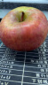 阿克苏苹果 新疆冰糖心苹果9斤 水果礼盒 果径80-85mm 源头直发包邮 晒单实拍图