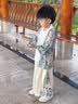 葆氏扇子中国风折扇女士绢布古典扇子夏季汉服旗袍拍照便携折叠 实拍图