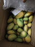 尔蝶海南小台农芒果10斤新鲜小台芒当季热带水果现摘甜心小芒果整箱 精选中果 单果70-90g-爆甜多汁 精选9斤装 净重8.5斤 实拍图