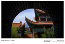 永诺（YONGNUO） YN50mm F1.8适用于索尼口适用于尼康口微单大光圈自动对焦镜头 YN50mm F1.8S 索尼E口全幅（顺丰空运） 实拍图