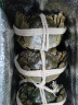 【活蟹】阳澄联合大闸蟹鲜活全母蟹2.5-2.8两 8只去绳足重螃蟹海鲜礼盒 实拍图