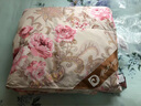 奈士迪 95%白鹅绒被柔面料羽绒被子冬天被芯95%白鹅绒冬被冬季 冬厚被 粉色印花 200*230cm春夏款（填充500g） 实拍图