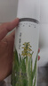 寻荟记晒后修护舒缓芦荟胶控油保湿芦荟水清痘茶树凝露 芦荟原胶200g 实拍图