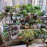 盈姿 花架不锈钢防腐大花架阳台铁艺多层花架子室内外定制多肉阶梯 四层【长150cm]3腿 实拍图