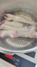 往来白丁 内蒙古羊蹄2斤净重 新鲜羔羊肉羊小腿带筋羊脚爪烧烤火锅食材    实拍图