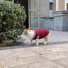 憨憨乐园宠物狗狗衣服猫咪衣服猫衣服泰迪比熊小狗小中型犬冬天保暖衣服L 实拍图